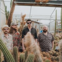 REVEREND STOMP / FAINSCHMITZ