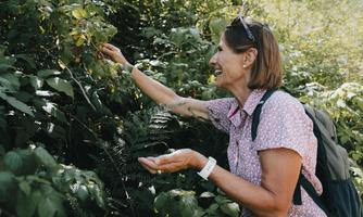 Alpenkräuterkunde in Gschnitz