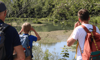 Wildflussführung in Holzgau