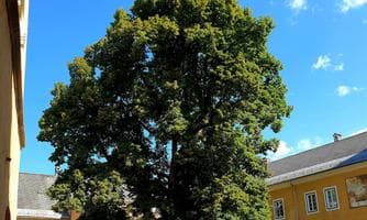 Kunsthistorische Führung durch das Stift Millstatt