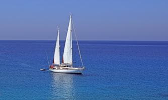 Wenn Fische fliegen lernen - Auf einem neuneinhalb Meter langen