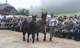 Abtenauer Rösslmarkt