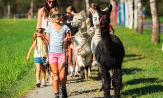 Familientag - Alpakawanderung mit Gold- & Edelsteinsuche