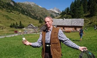 Entdecken Sie die alpinen Hummeln