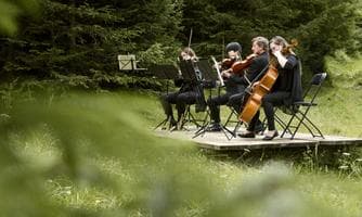 Wald:Klassik Bad Hofgastein