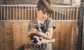 mmer Erlebnisse - Streichelzoo & vegetarische Landwirtschaft