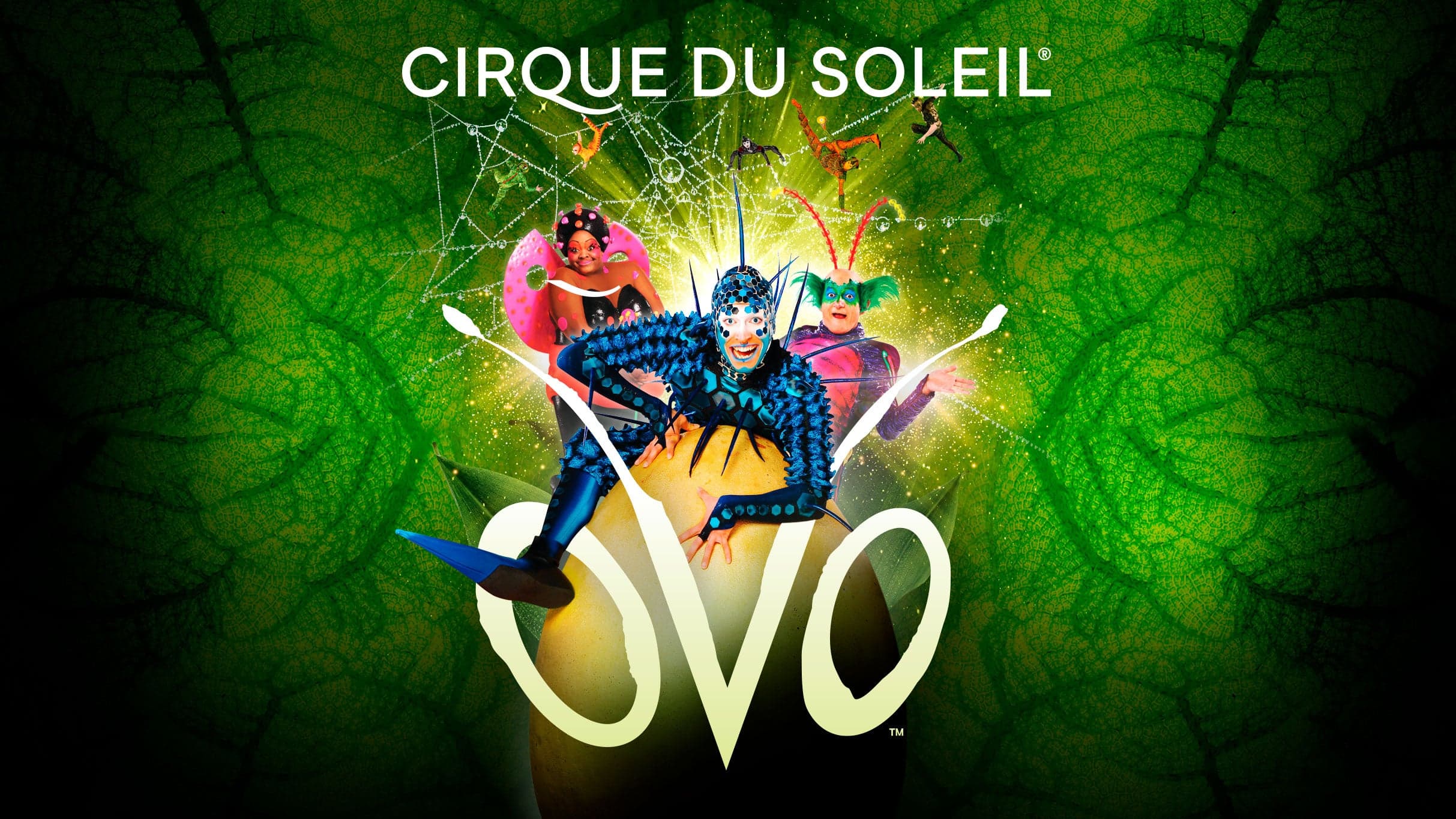 Cirque du Soleil OVO