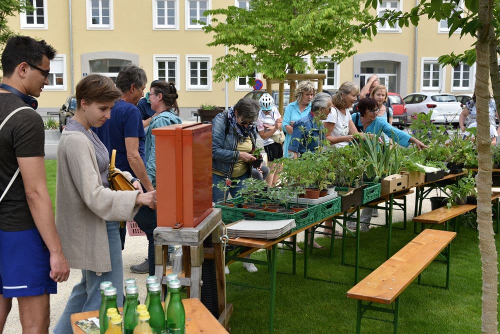 Pflanzerl-Tausch-Markt