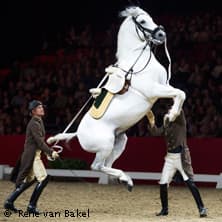 Galavorführung der Spanischen Hofreitschule Wien