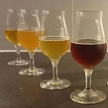 Bierseminar mit Verkostung | in 3 Std. zum Bierkenner-Diplom