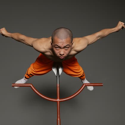 Detailinfos zu Die Mönche des Shaolin Kung Fu